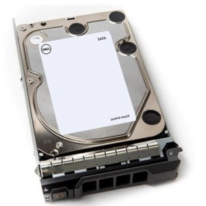 Dell 12TB 7.2K RPM SATA 6Gbps 512e 3.5in Hot-plug drive